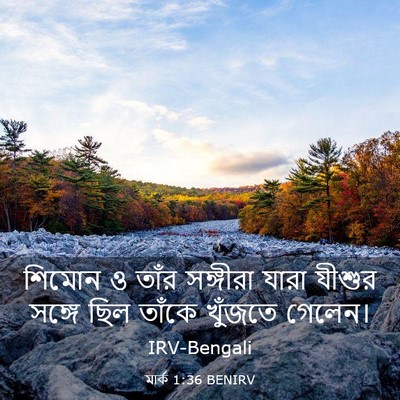 Picture 03 - মার্ক 1:36 BENIRV - শিমোন ও তাঁর - Bible Verse Picture