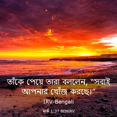 Picture 03 - মার্ক 1:37 BENIRV - তাঁকে পেয়ে তারা - Bible Verse Picture
