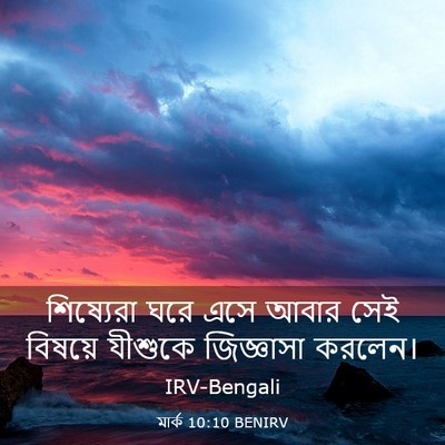 Picture 03 - মার্ক 10:10 BENIRV - শিষ্যেরা ঘরে এসে - Bible Verse Picture