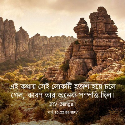 Picture 03 - মার্ক 10:22 BENIRV - এই কথায় সেই লোকটি - Bible Verse Picture