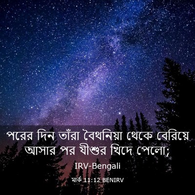 Picture 03 - মার্ক 11:12 BENIRV - পরের দিন তাঁরা - Bible Verse Picture