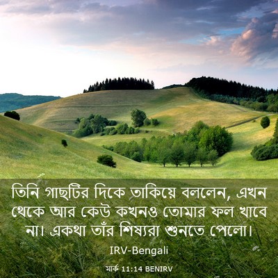 Picture 03 - মার্ক 11:14 BENIRV - তিনি গাছটির দিকে - Bible Verse Picture