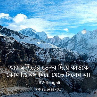 Picture 03 - মার্ক 11:16 BENIRV - আর মন্দিরের ভেতর - Bible Verse Picture