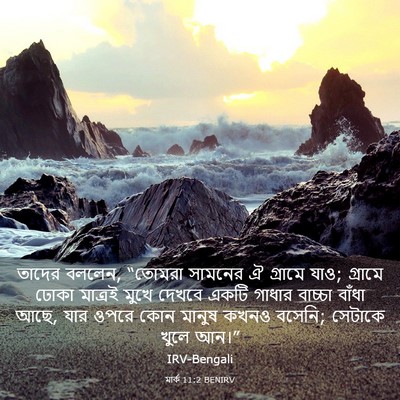 Picture 03 - মার্ক 11:2 BENIRV - তাদের বললেন, - Bible Verse Picture