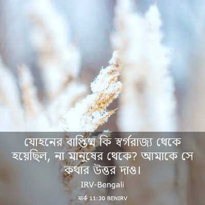 Picture 03 - মার্ক 11:30 BENIRV - যোহনের বাপ্তিষ্ম - Bible Verse Picture