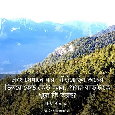 Picture 03 - মার্ক 11:5 BENIRV - এবং সেখানে যারা - Bible Verse Picture