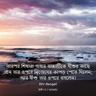 Picture 03 - মার্ক 11:7 BENIRV - তারপর শিষ্যরা - Bible Verse Picture