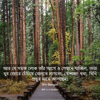 Picture 03 - মার্ক 11:9 BENIRV - আর যে সমস্ত লোক - Bible Verse Picture