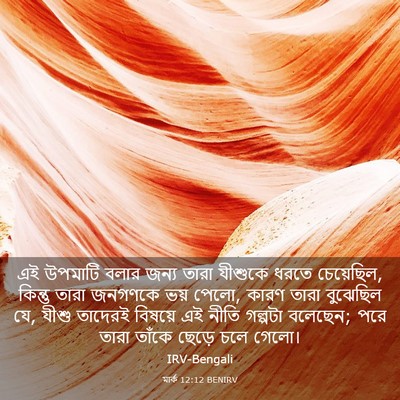 Picture 03 - মার্ক 12:12 BENIRV - এই উপমাটি বলার - Bible Verse Picture