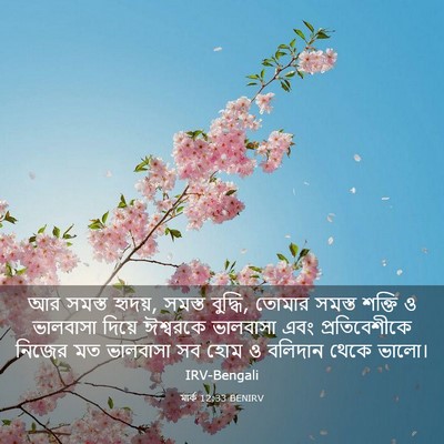 Picture 03 - মার্ক 12:33 BENIRV - আর সমস্ত হৃদয়, - Bible Verse Picture
