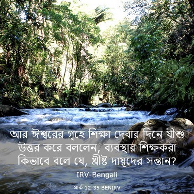 Picture 03 - মার্ক 12:35 BENIRV - আর ঈশ্বরের গৃহে - Bible Verse Picture