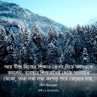 Picture 03 - মার্ক 12:38 BENIRV - আর যীশু নিজের - Bible Verse Picture