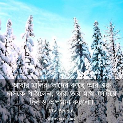 Picture 03 - মার্ক 12:4 BENIRV - আবার মালিক তাদের - Bible Verse Picture