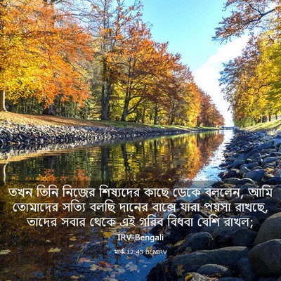 Picture 03 - মার্ক 12:43 BENIRV - তখন তিনি নিজের - Bible Verse Picture