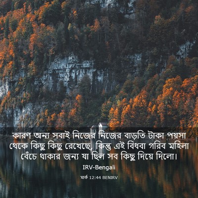 Picture 03 - মার্ক 12:44 BENIRV - কারণ অন্য সবাই - Bible Verse Picture