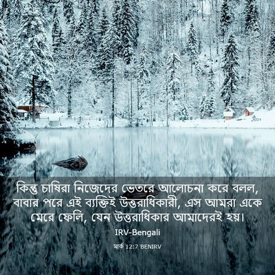Picture 03 - মার্ক 12:7 BENIRV - কিন্তু চাষিরা - Bible Verse Picture