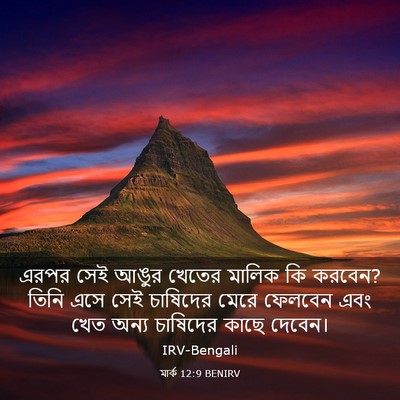 Picture 03 - মার্ক 12:9 BENIRV - এরপর সেই আঙুর - Bible Verse Picture