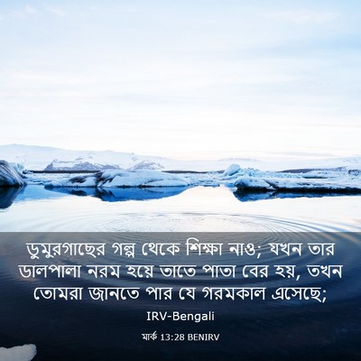 Picture 03 - মার্ক 13:28 BENIRV - ডুমুরগাছের গল্প - Bible Verse Picture