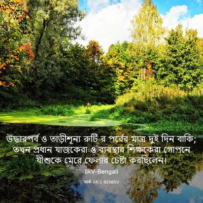 Picture 03 - মার্ক 14:1 BENIRV - উদ্ধারপর্ব ও - Bible Verse Picture
