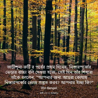 Picture 03 - মার্ক 14:12 BENIRV - তাড়ীশূন্য রুটি র - Bible Verse Picture