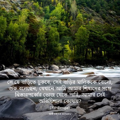 Picture 03 - মার্ক 14:14 BENIRV - সে যে বাড়িতে - Bible Verse Picture