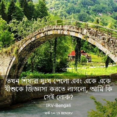Picture 03 - মার্ক 14:19 BENIRV - তখন শিষ্যরা দুঃখ - Bible Verse Picture