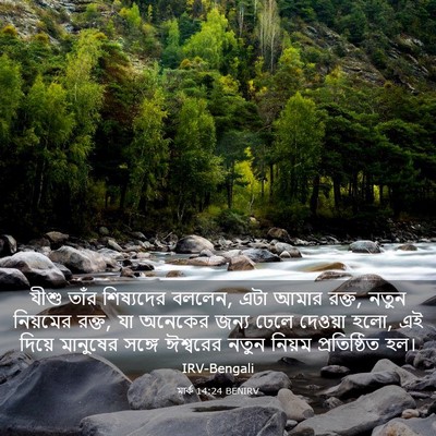 Picture 03 - মার্ক 14:24 BENIRV - যীশু তাঁর - Bible Verse Picture