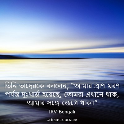 Picture 03 - মার্ক 14:34 BENIRV - তিনি তাদেরকে - Bible Verse Picture