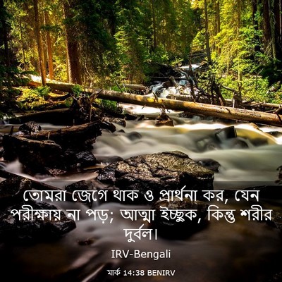 Picture 03 - মার্ক 14:38 BENIRV - তোমরা জেগে থাক ও - Bible Verse Picture