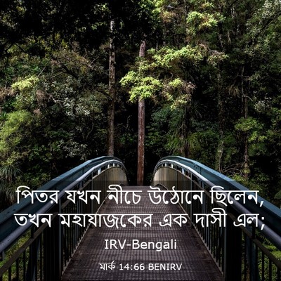 Picture 03 - মার্ক 14:66 BENIRV - পিতর যখন নীচে - Bible Verse Picture