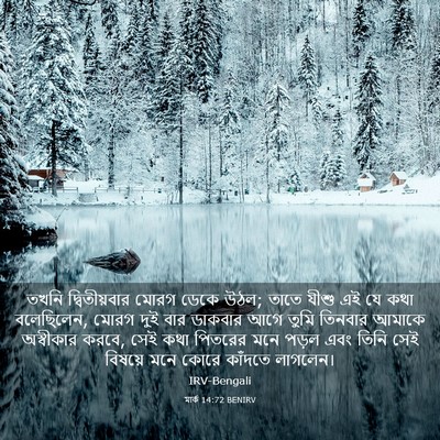 Picture 03 - মার্ক 14:72 BENIRV - তখনি দ্বিতীয়বার - Bible Verse Picture