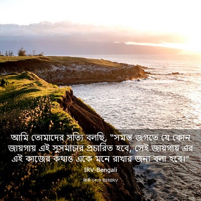 Picture 03 - মার্ক 14:9 BENIRV - আমি তোমাদের সত্যি - Bible Verse Picture
