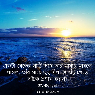 Picture 03 - মার্ক 15:19 BENIRV - একটা বেতের লাঠি - Bible Verse Picture