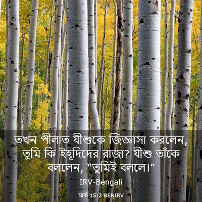 Picture 03 - মার্ক 15:2 BENIRV - তখন পীলাত যীশুকে - Bible Verse Picture
