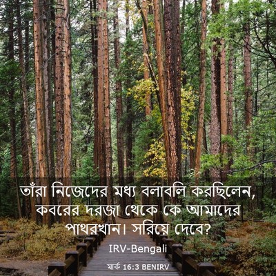 Picture 03 - মার্ক 16:3 BENIRV - তাঁরা নিজেদের - Bible Verse Picture