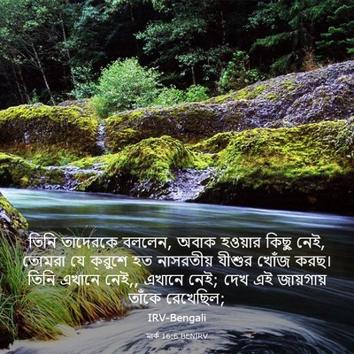 Picture 03 - মার্ক 16:6 BENIRV - তিনি তাদেরকে - Bible Verse Picture
