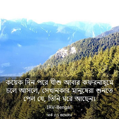 Picture 03 - মার্ক 2:1 BENIRV - কয়েক দিন পরে যীশু - Bible Verse Picture