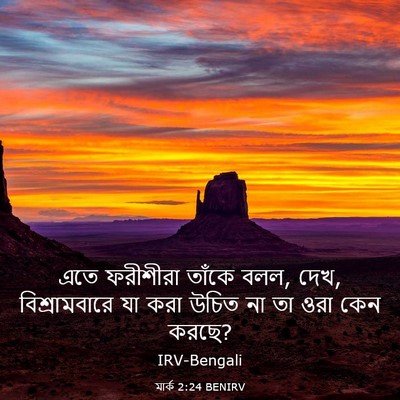 Picture 03 - মার্ক 2:24 BENIRV - এতে ফরীশীরা তাঁকে - Bible Verse Picture