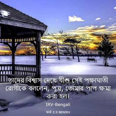 Picture 03 - মার্ক 2:5 BENIRV - তাদের বিশ্বাস - Bible Verse Picture