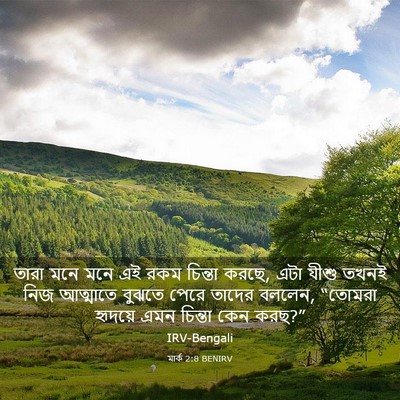 Picture 03 - মার্ক 2:8 BENIRV - তারা মনে মনে এই রকম - Bible Verse Picture