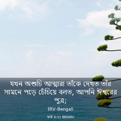 Picture 03 - মার্ক 3:11 BENIRV - যখন অশুচি আত্মারা - Bible Verse Picture