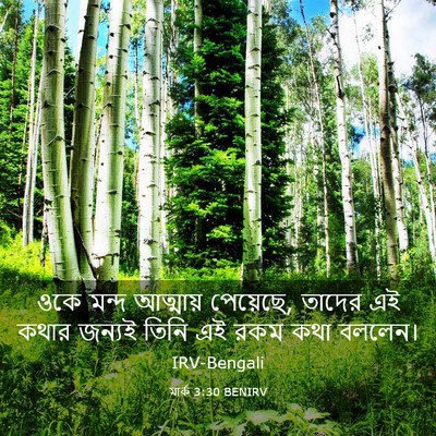 Picture 03 - মার্ক 3:30 BENIRV - ওকে মন্দ আত্মায় - Bible Verse Picture