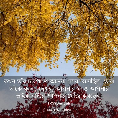 Picture 03 - মার্ক 3:32 BENIRV - তখন তাঁর চারপাশে - Bible Verse Picture