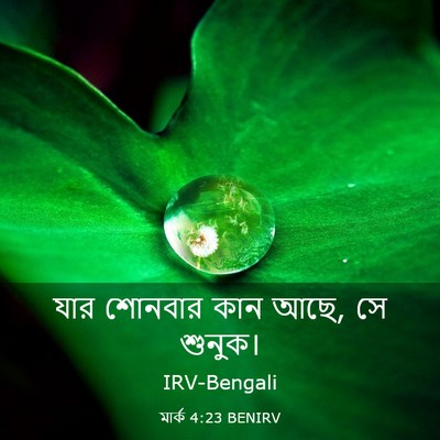 Picture 03 - মার্ক 4:23 BENIRV - যার শোনবার কান আছে, - Bible Verse Picture