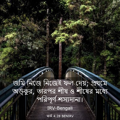 Picture 03 - মার্ক 4:28 BENIRV - জমি নিজে নিজেই ফল - Bible Verse Picture