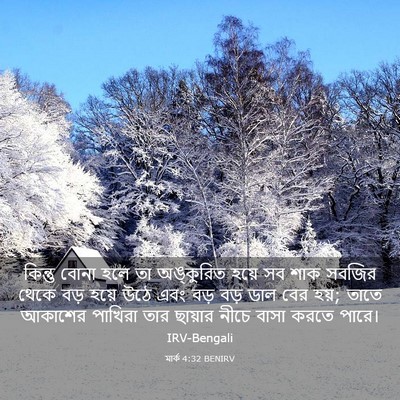 Picture 03 - মার্ক 4:32 BENIRV - কিন্তু বোনা হলে তা - Bible Verse Picture