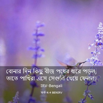 Picture 03 - মার্ক 4:4 BENIRV - বোনার দিন কিছু বীজ - Bible Verse Picture