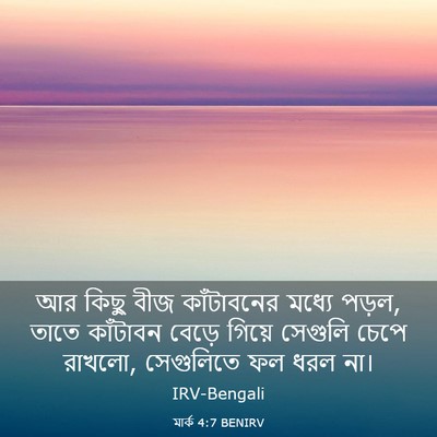 Picture 03 - মার্ক 4:7 BENIRV - আর কিছু বীজ - Bible Verse Picture