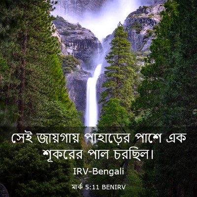 Picture 03 - মার্ক 5:11 BENIRV - সেই জায়গায় - Bible Verse Picture