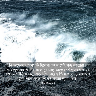 Picture 03 - মার্ক 5:13 BENIRV - তিনি তাদেরকে - Bible Verse Picture